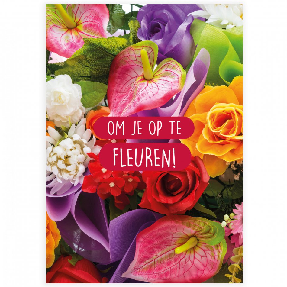 Beterschap Om je op te fleuren!
