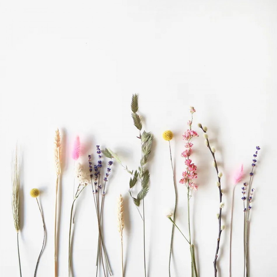 BlooMemory Droogbloemen