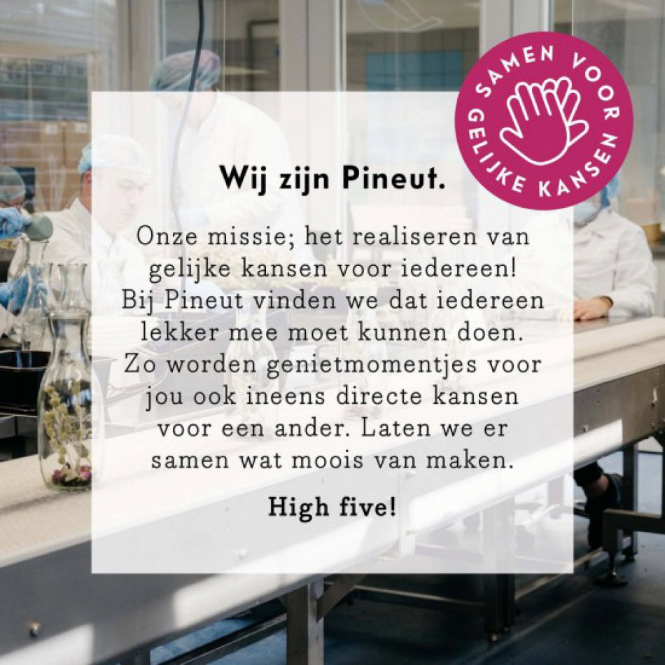 Pineut Rode Gluhwein Karaf